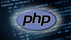 هاست PHP چیست ؟