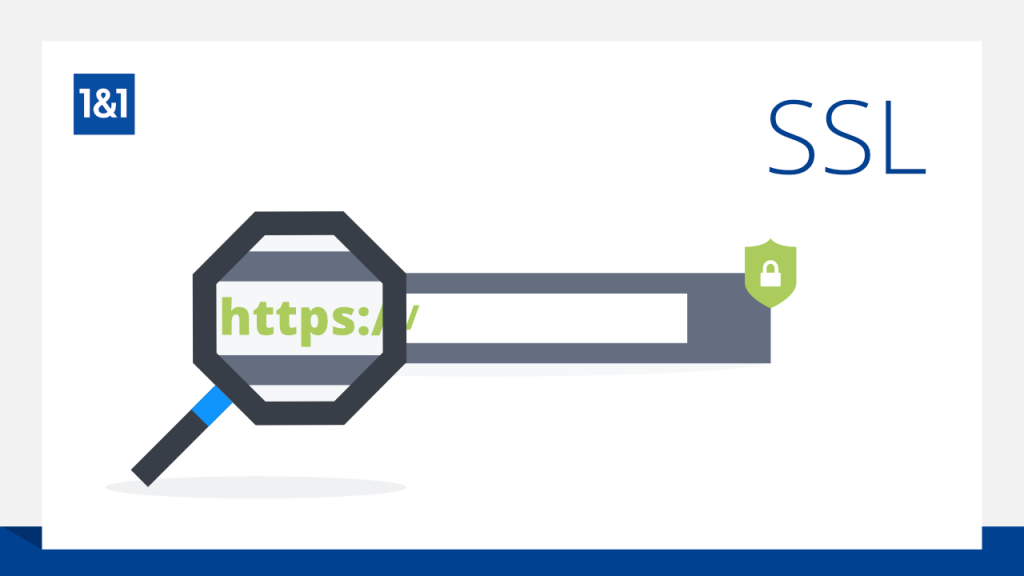 تاثیر گواهینامه SSL بر سئو (SEO) وب سایت